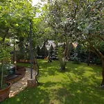 Kascuni Apartamento *