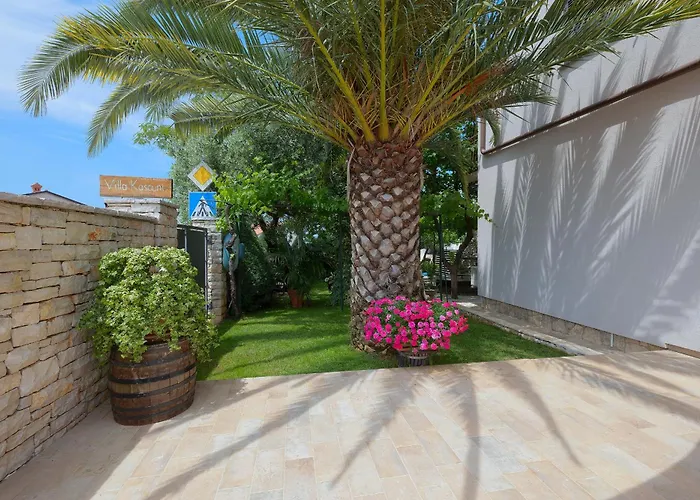 Appartement Kascuni *