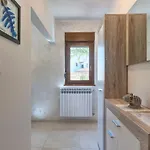 Kascuni Apartment *